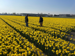 Highlighted image: Groen veilen & kijkdag materialen veiling